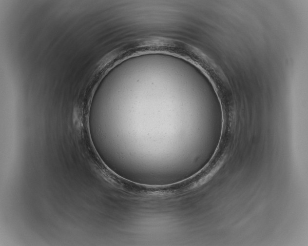 X0000111941017200908031134