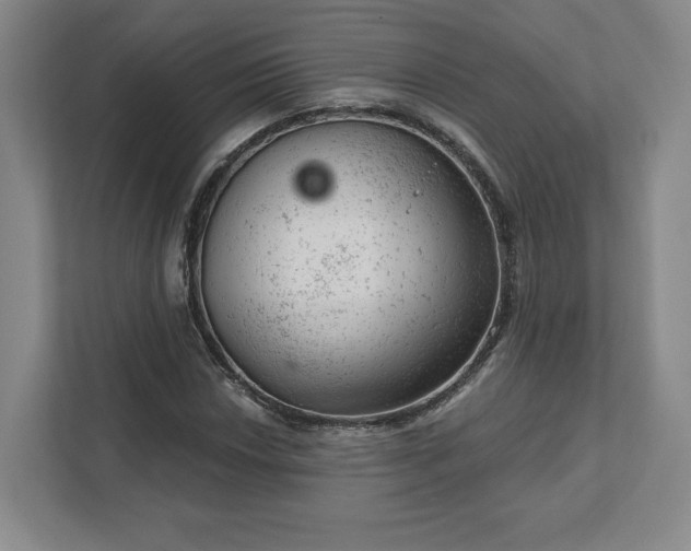 X0000111941018200908031134