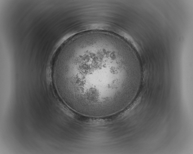 X0000111941019200908031134