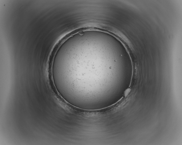 X0000111941020200908031134