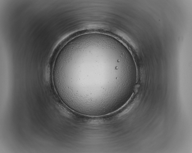 X0000111941021200908031134