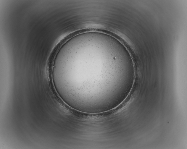 X0000111941022200908031134