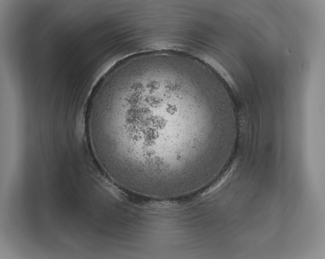 X0000111941023200908031134