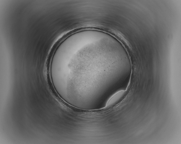 X0000111941024200908031134