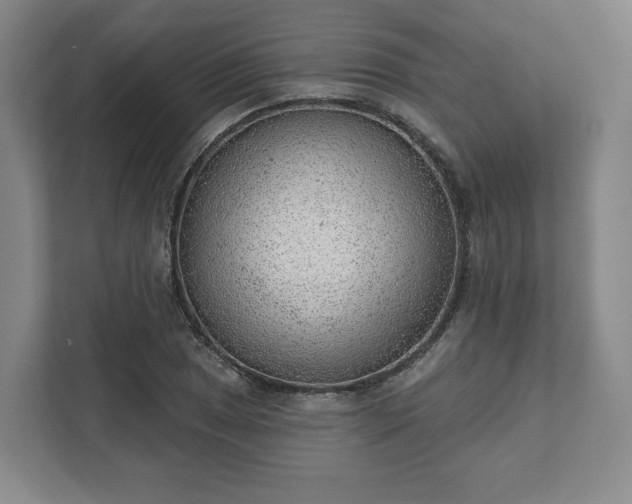 X0000111941025200908031134