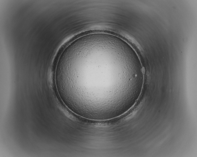 X0000111941029200908031134