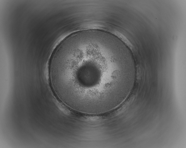 X0000111941031200908031134