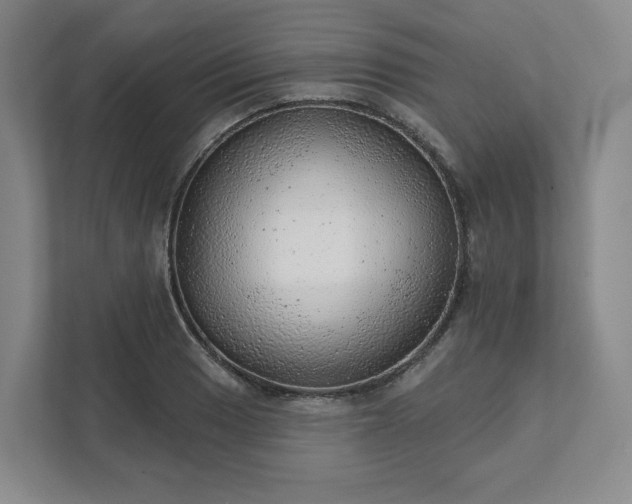 X0000111941033200908031134