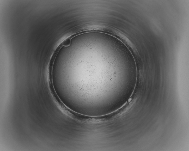 X0000111941034200908031134