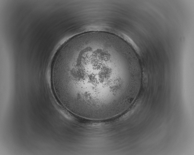 X0000111941035200908031134