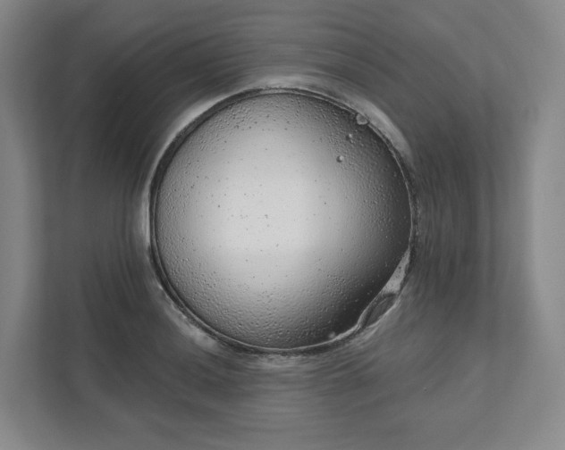 X0000111941036200908031134