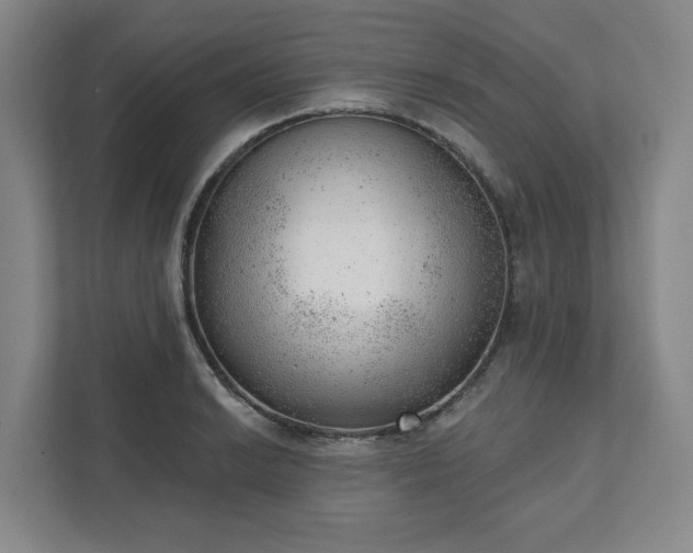 X0000111941038200908031134