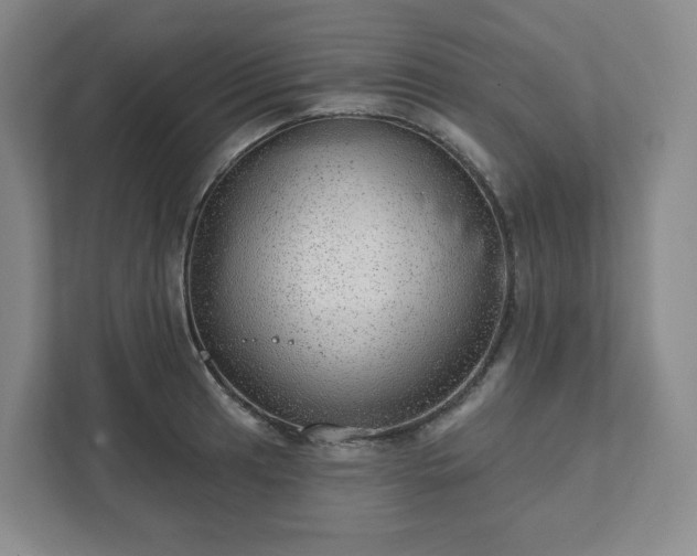 X0000111941041200908031134