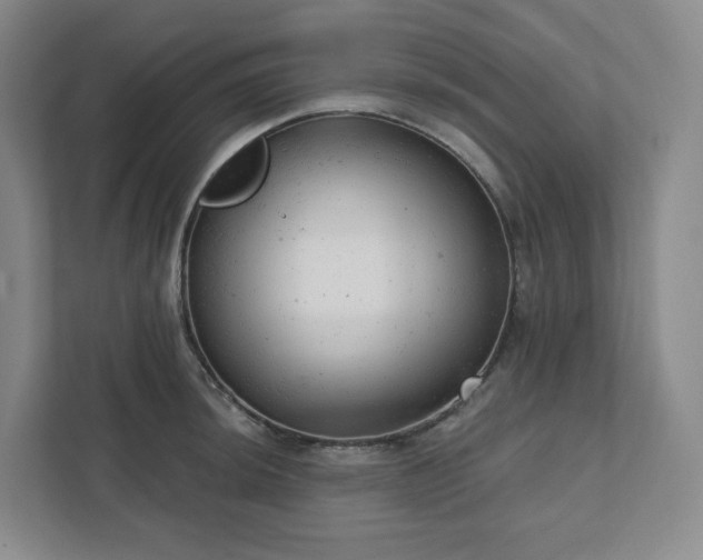 X0000111941044200908031134