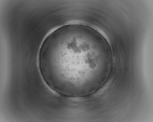 X0000111941045200908031134