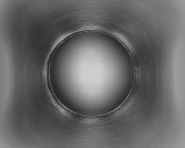 X0000111941046200908031134