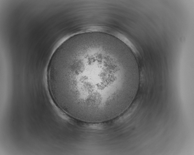 X0000111941047200908031134