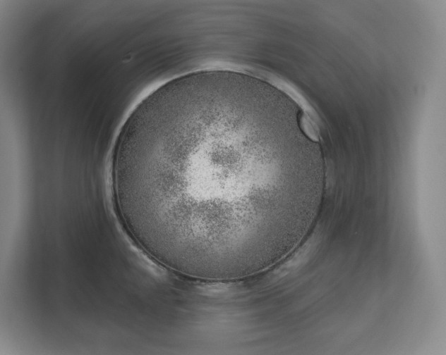 X0000111941048200908031134