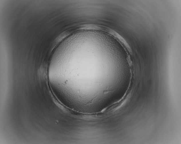 X0000111941049200908031134