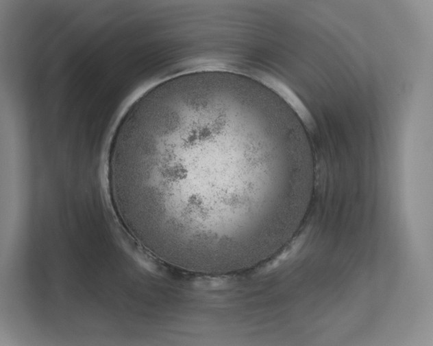 X0000111941051200908031134