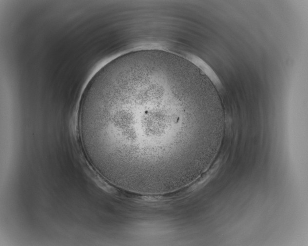 X0000111941052200908031134