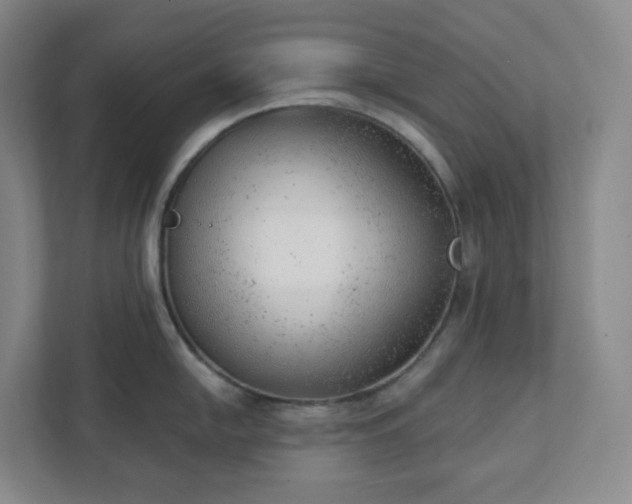 X0000111941054200908031134