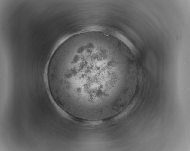 X0000111941055200908031134