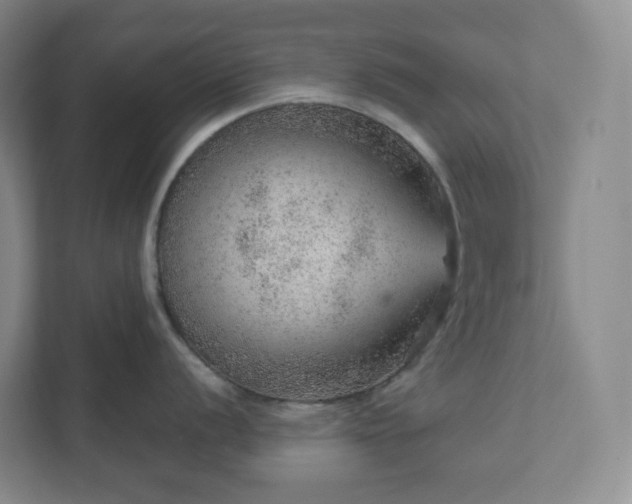 X0000111941056200908031134