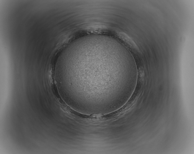 X0000111941060200908031133