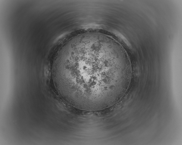 X0000111941063200908031133