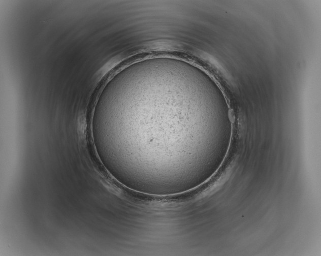 X0000111941065200908031133