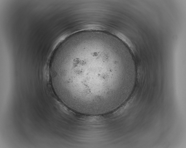 X0000111941067200908031133