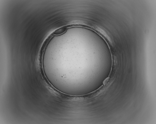 X0000111941068200908031133