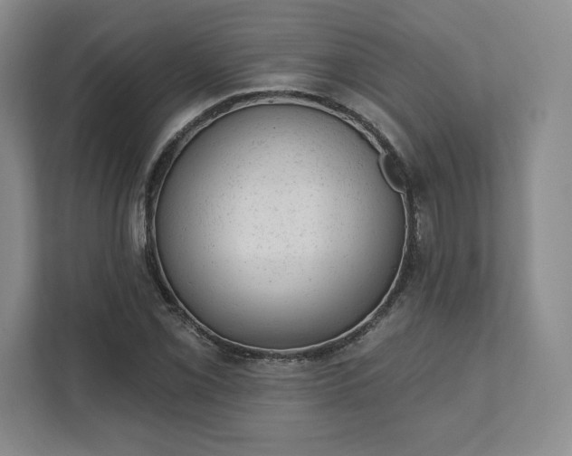 X0000111941069200908031133