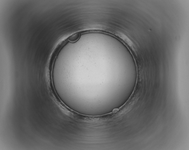 X0000111941072200908031133