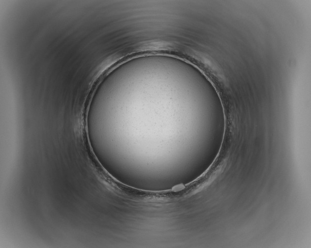 X0000111941073200908031133