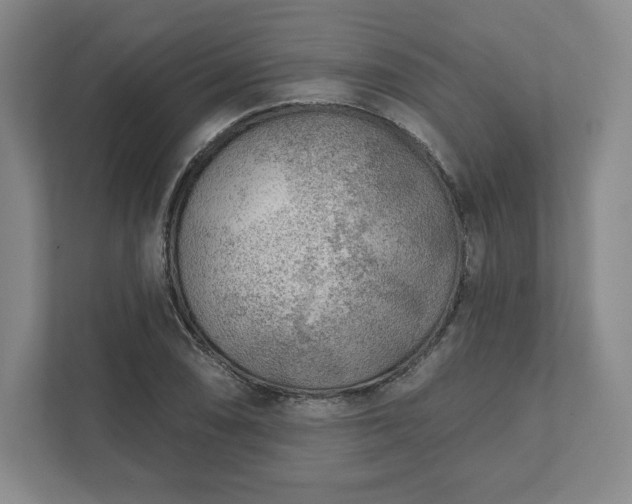 X0000111941074200908031133