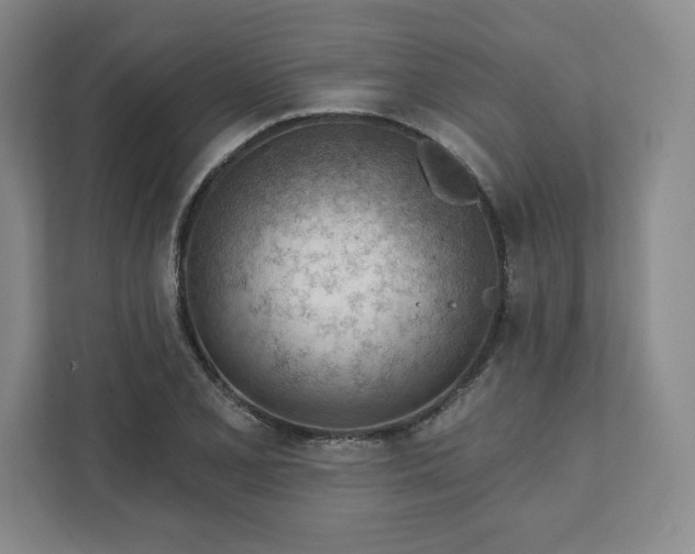 X0000111941077200908031133