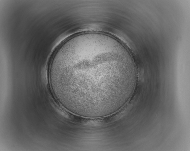 X0000111941078200908031133