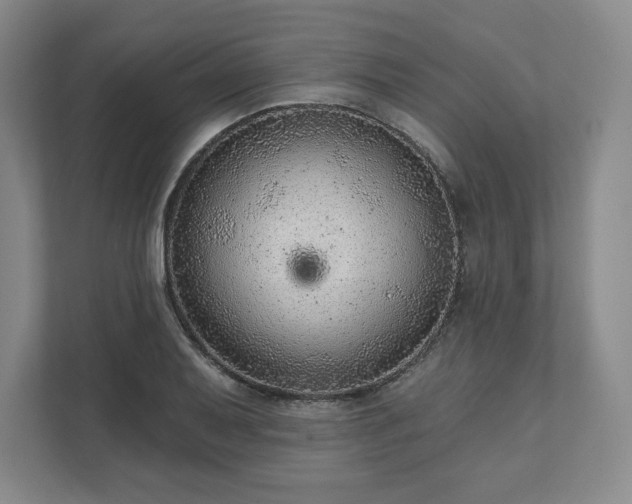 X0000111941079200908031133