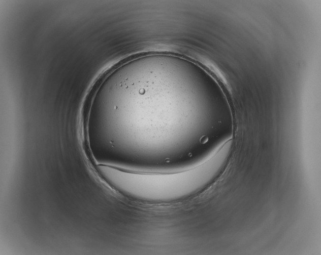 X0000111941080200908031133