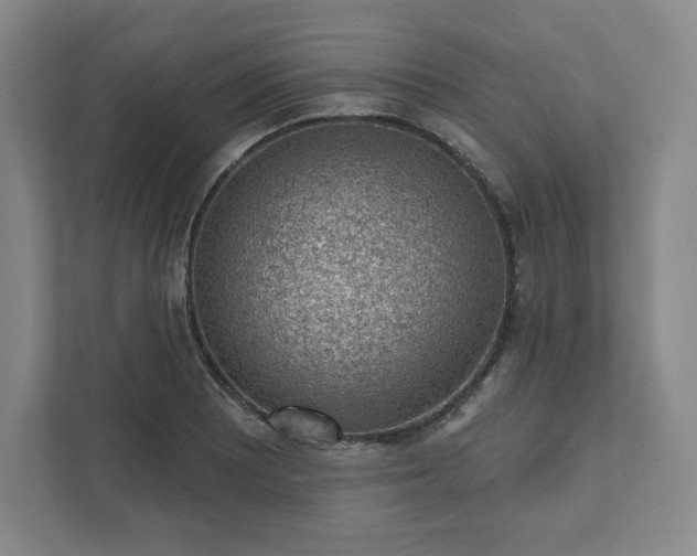 X0000111941081200908031133