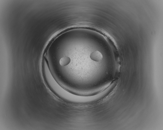 X0000111941085200908031133