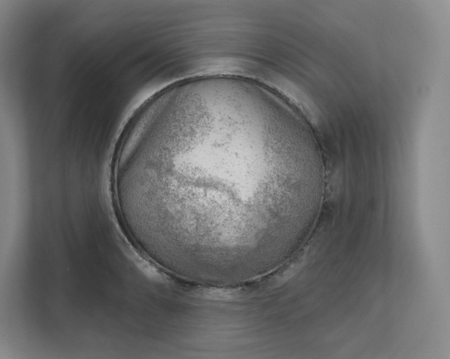 X0000111941086200908031133