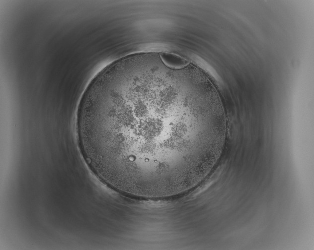 X0000111941087200908031133