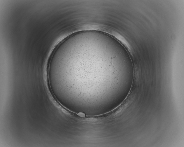 X0000111941088200908031133