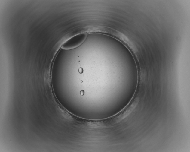 X0000111941089200908031133