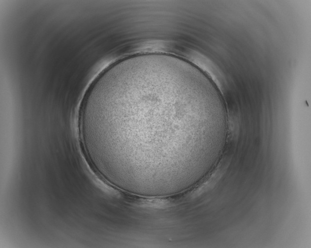 X0000111941090200908031133