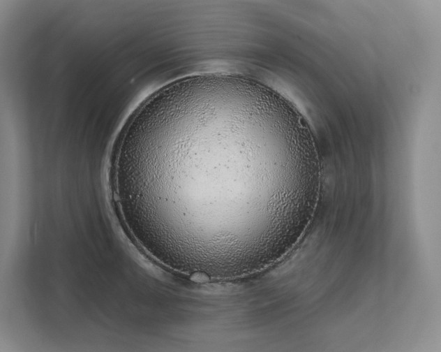 X0000111941091200908031133