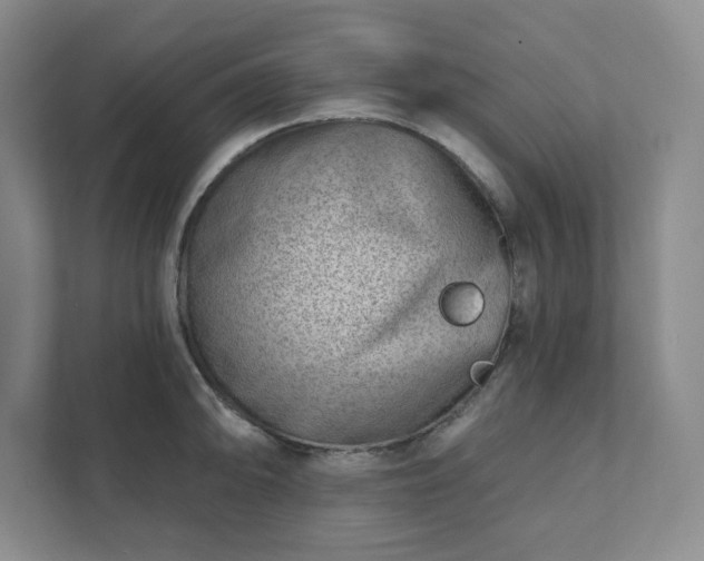 X0000111941094200908031133